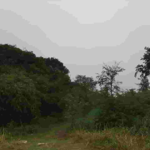 VENDO LOTE EN VILLA ANI MI | calle El Parral