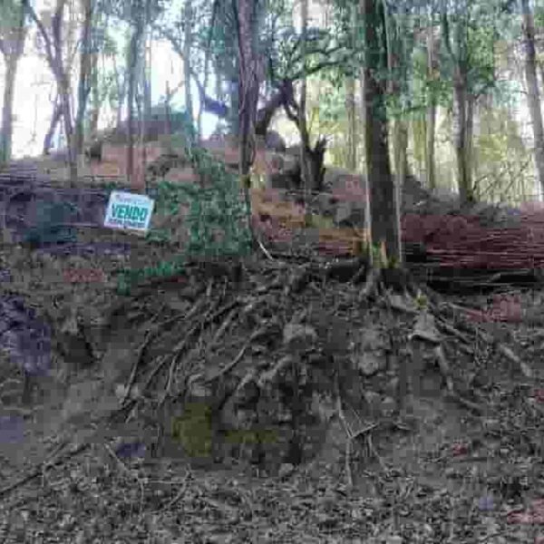 VENDO LOTE EN VILLA ANI MI/ calle Ombu