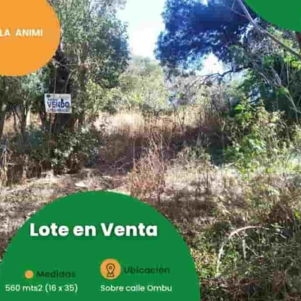 VENDO LOTE EN VILLA ANI MI | sobre calle Ombú