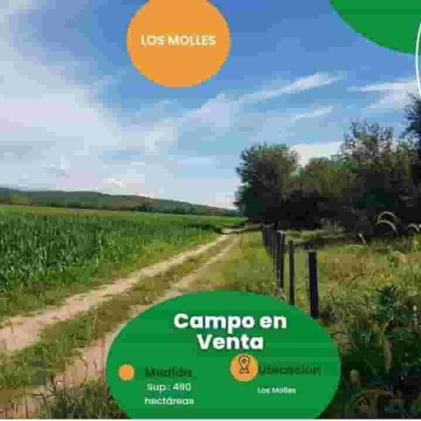 VENDO FRACCION EN LOS MOLLES