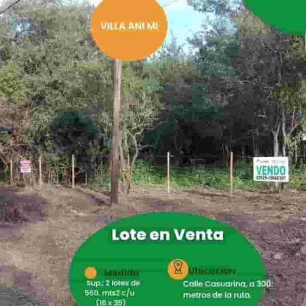VENDO 2 LOTES EN VILLA ANI MI/ calle Casuarina