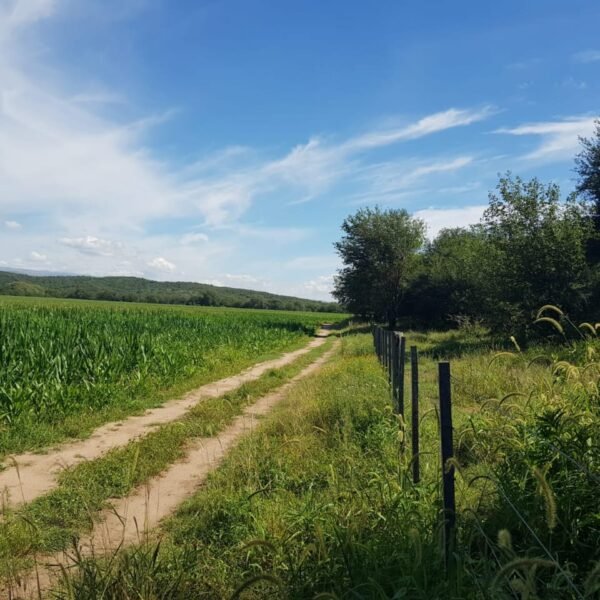 VENDO CAMPO EN LOS MOLLES