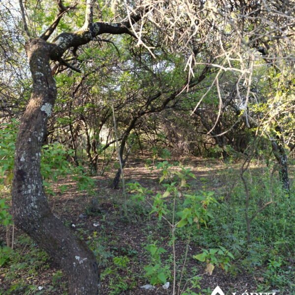 Vendo lote en La Granja | calle Siempre Viva