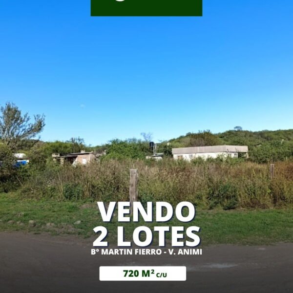 Vendo 2 lotes en Villa Animi | calle El Jacarandá