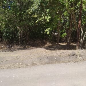 Vendo lote en Villa Animi | calle El Cedro