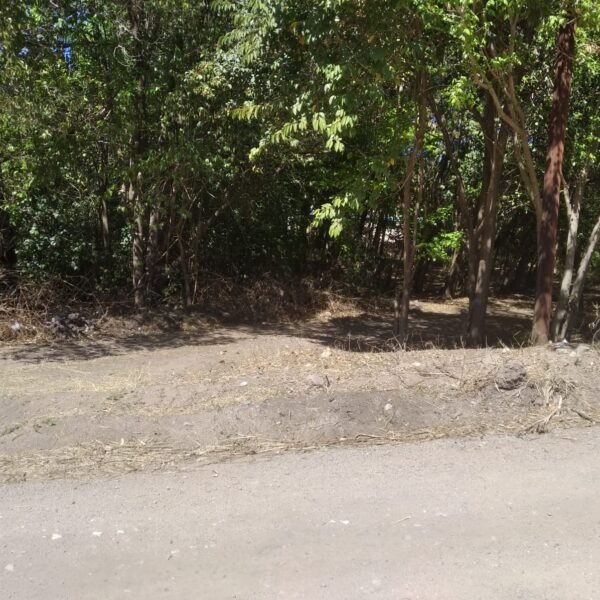 Vendo lote en Villa Animi | calle El Cedro