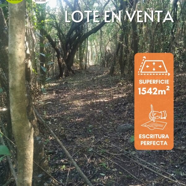 Vendo lote en calle Los Cipreses| Villa Animi